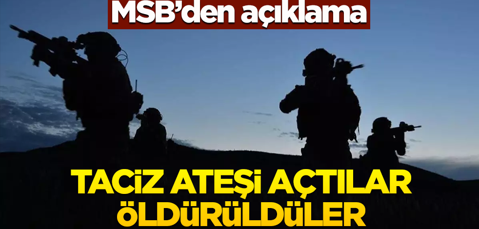 MSB'den açıklama! Taciz ateşi açtılar öldürüldüler