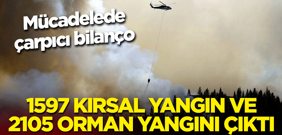 Mücadelede çarpıcı bilanço: 1597 kırsal yangın ve 2105 orman yangını çıktı