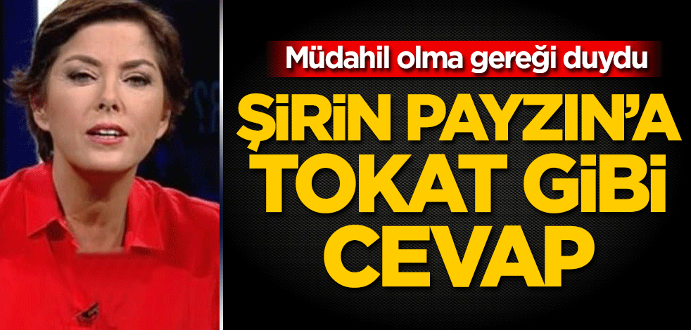 Müdahil olma gereği duydu! Şirin Payzın'a tokat gibi cevap