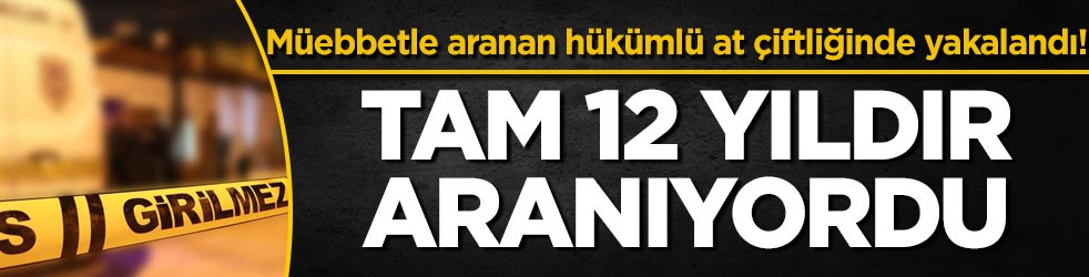 Müebbetle aranan hükümlü at çiftliğinde yakalandı! Tam 12 yıldır aranıyordu