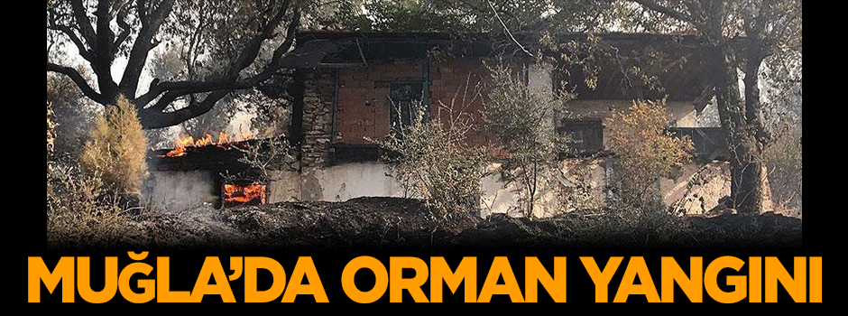 Muğla'da orman yangını!