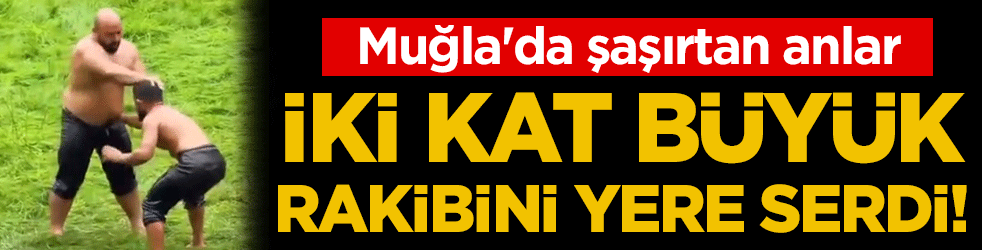 Muğla'da şaşırtan anlar: Kendisinden iki kat büyük rakibin yere serdi