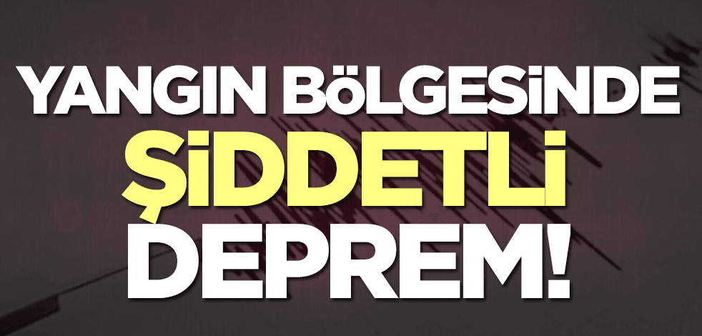 Muğla'da şiddetli deprem!