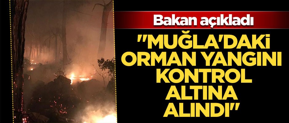 "Muğla'daki orman yangını kontrol altına alındı"