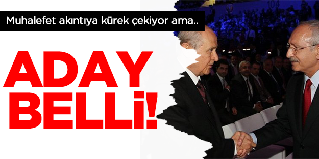 Muhalefet akıntıya kürek çekiyor ama Cumhurbaşkanı belli