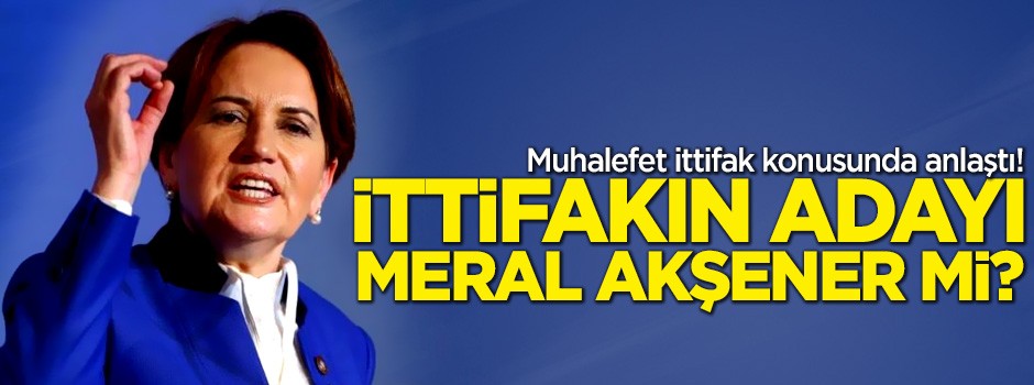 Muhalefet ittifak konusunda anlaştı! İttifakın adayı Meral Akşener mi?