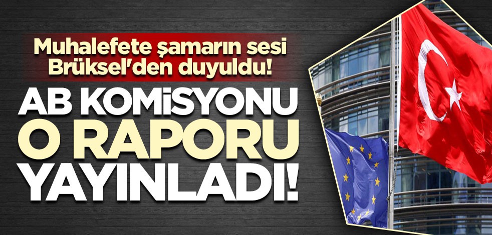 Muhalefete şamarın sesi Brüksel'den duyuldu!