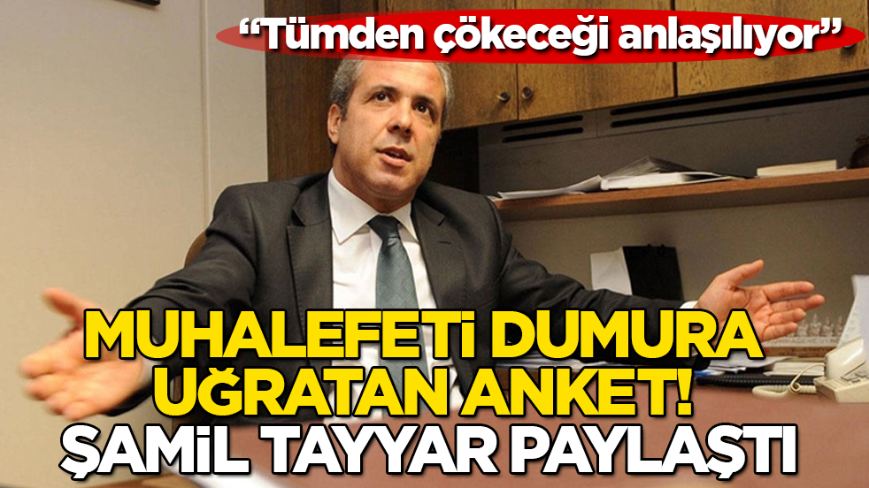 Muhalefeti dumura uğratan anket! Şamil Tayyar paylaştı: Tümden çökeceği anlaşılıyor