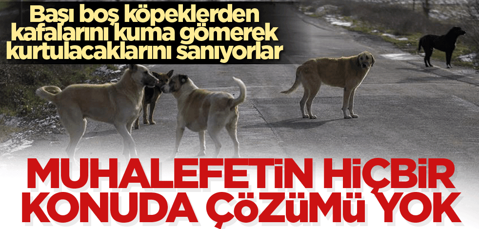 Muhalefetin hiçbir konuda çözümü yok