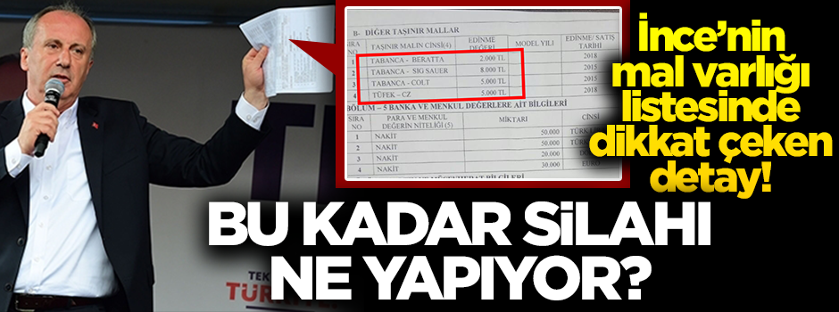 Muharrem İnce’nin mal varlığı listesinde dikkat çeken detay! Muharrem İnce'nin silahları...