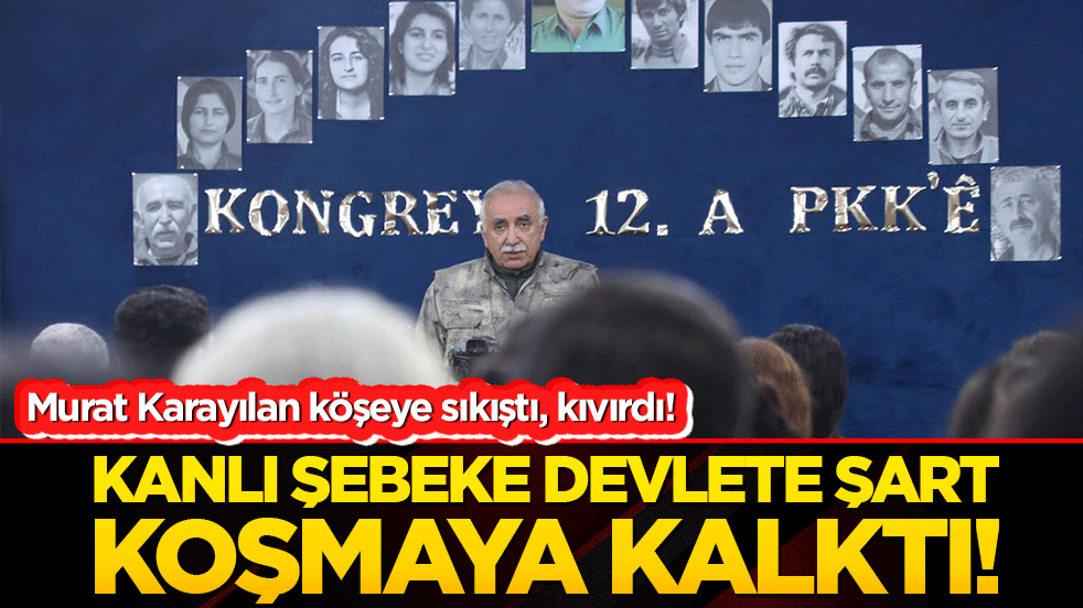Murat Karayılan köşeye sıkıştı, kıvırdı! Kanlı şebeke devlete şart koşmaya kalktı!