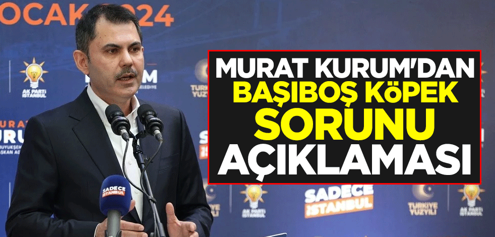 Murat Kurum'dan başıboş köpek sorunu açıklaması: Sokaklardan korkuyu gidereceğiz