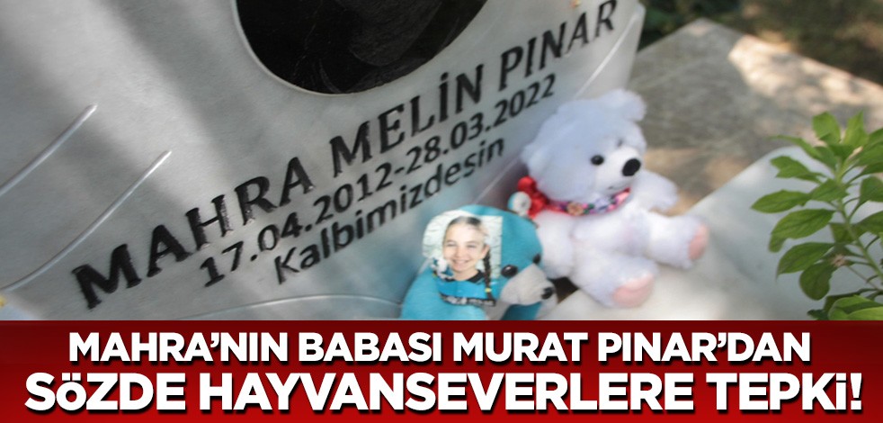 Murat Pınar sözde hayvanseverlere sordu! 'Daha kaç Mahra hayattan kopmalı?'