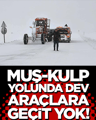 Muş-Kulp yolunda dev araçlara geçit yok!