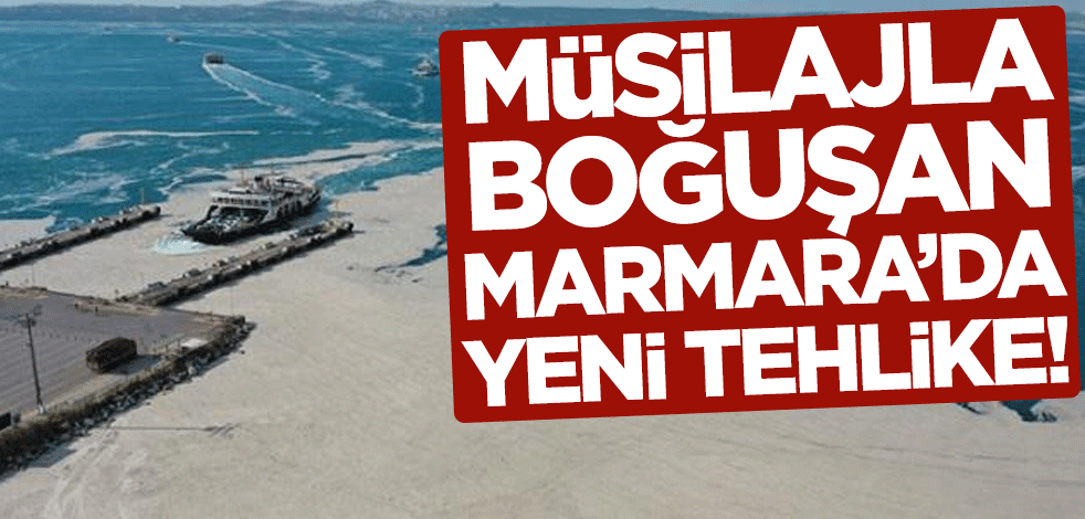 Müsilaj belasıyla boğuşan Marmara'da yeni tehlike!