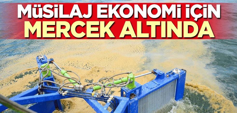 Müsilaj ekonomi için mercek altında