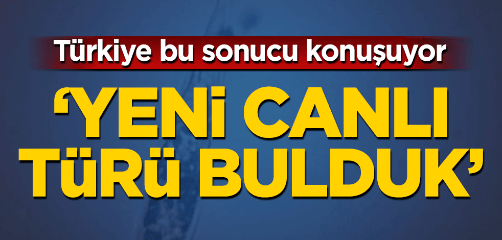Müsilaj incelemesinin ilk sonuçları şaşırttı: Yeni bir canlı türü bulduk