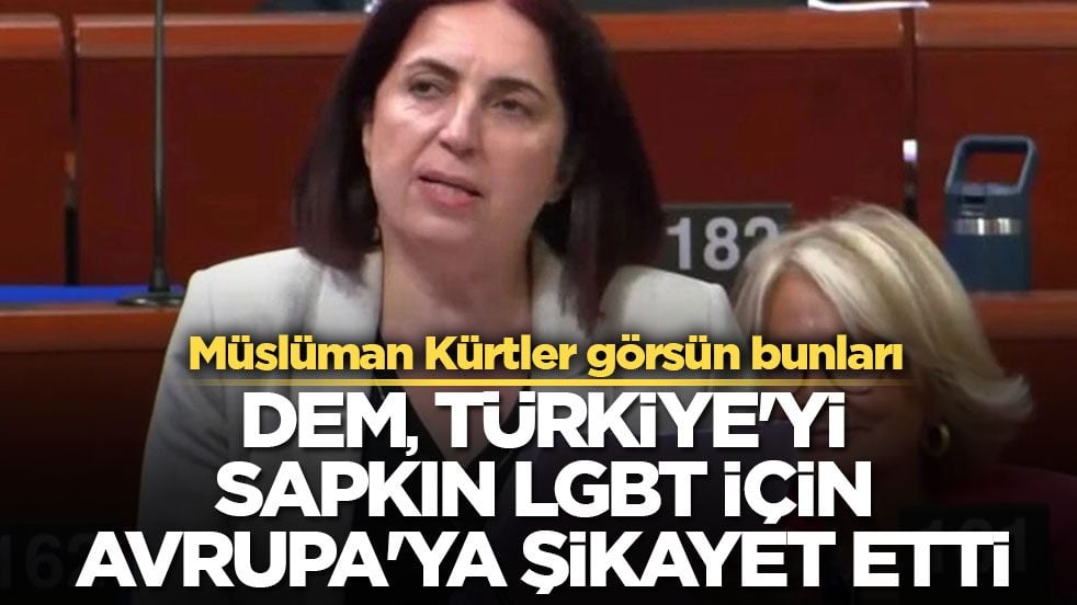 Müslüman Kürtler görsün bunları! DEM, Türkiye'yi Sapkın LGBT için Avrupa'ya şikayet etti