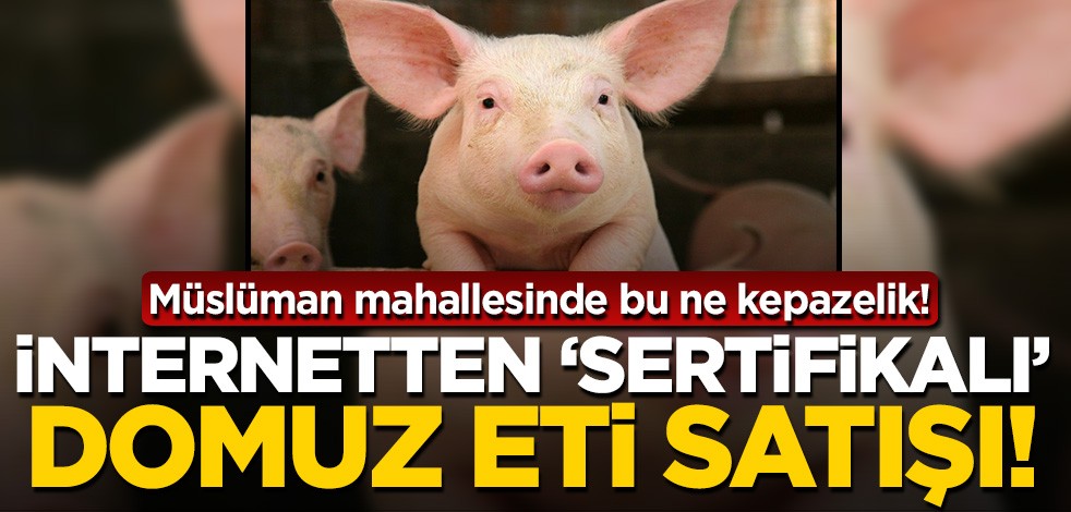 Müslüman mahallesinde bu ne rezalet? İnternet üzerinden "sertifikalı" domuz eti satışı!