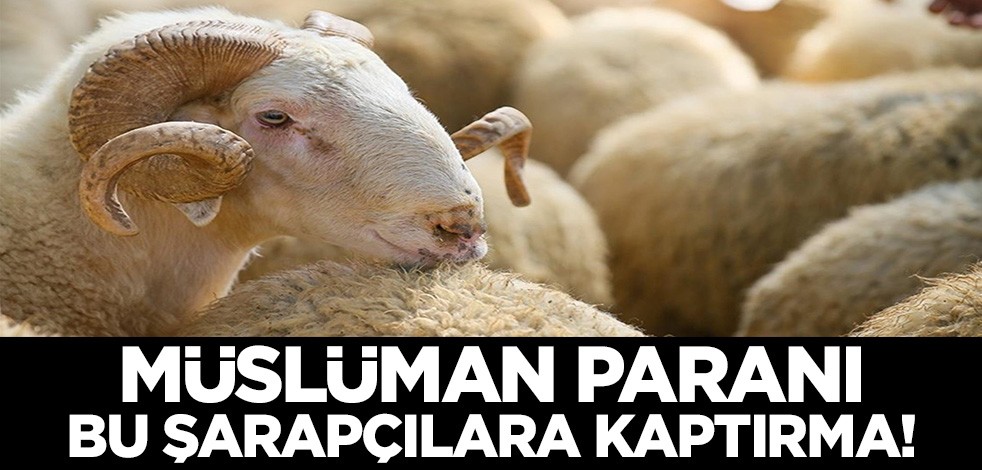 Müslüman paranı bunlara kaptırma! Migros'ta Kurban tuzağı...