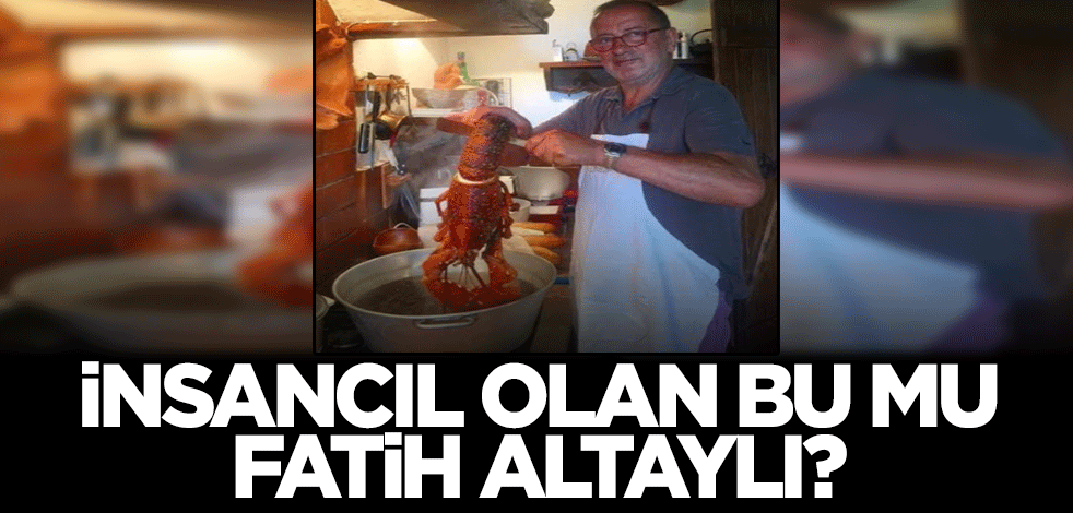 Müslümanların Kurban ibadetine dil uzatınca bu fotoğraf gündem oldu!