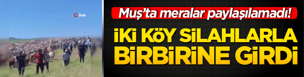 Muş’ta meralar paylaşılamadı! İki köy silahlarla birbirine girdi!