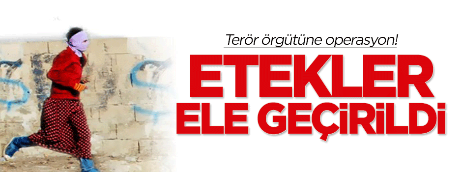 Muş'ta terör örgütüne operasyon