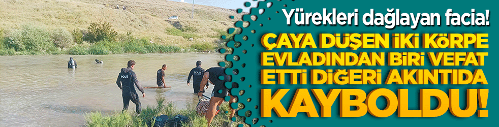 Muş'ta y&uuml;rekleri dağlayan facia! &Ccedil;oban ailenin &ccedil;aya d&uuml;şen iki k&ouml;rpe evladından biri vefat etti diğeri akıntıda kayboldu!