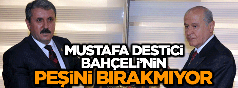 Mustafa Destici: MHP'miz, Saadet Partimiz
