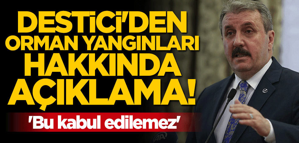 Mustafa Destici'den "orman yangınları" açıklaması