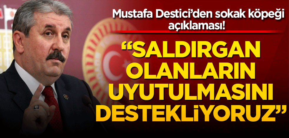 Mustafa Destici’den sokak köpeği açıklaması! "Saldırgan olanların uyutulmasını destekliyoruz"