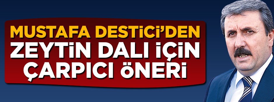 Mustafa Destici'den Zeytin Dalı için çarpıcı öneri