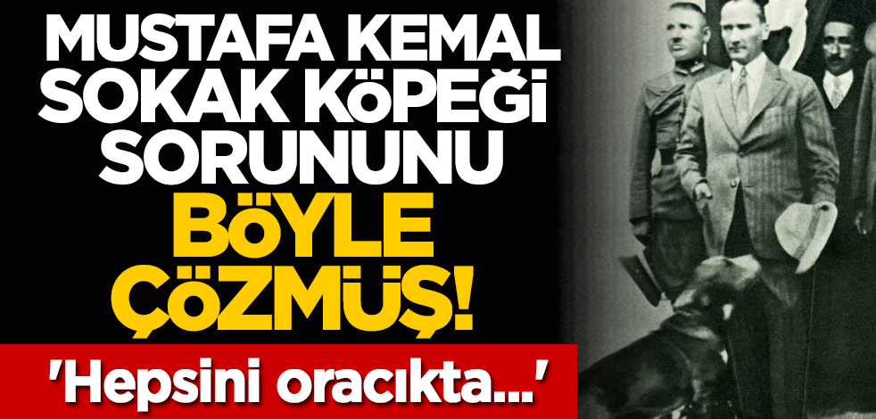 Mustafa Kemal sokak köpeği sorununu böyle çözmüş! 'Hepsini oracıkta...'