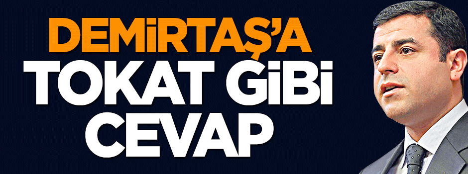 Mustafa Şentop'tan Demirtaş'a tokat gibi cevap