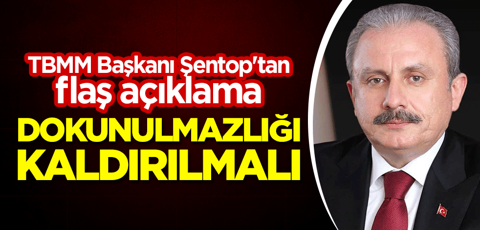 Mustafa Şentop'tan flaş açıklama: Dokunulmazlığı kaldırılmalı