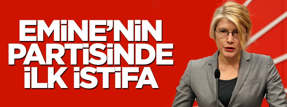 Mustafa Zengin, Anadolu Partisi'nden istifa etti