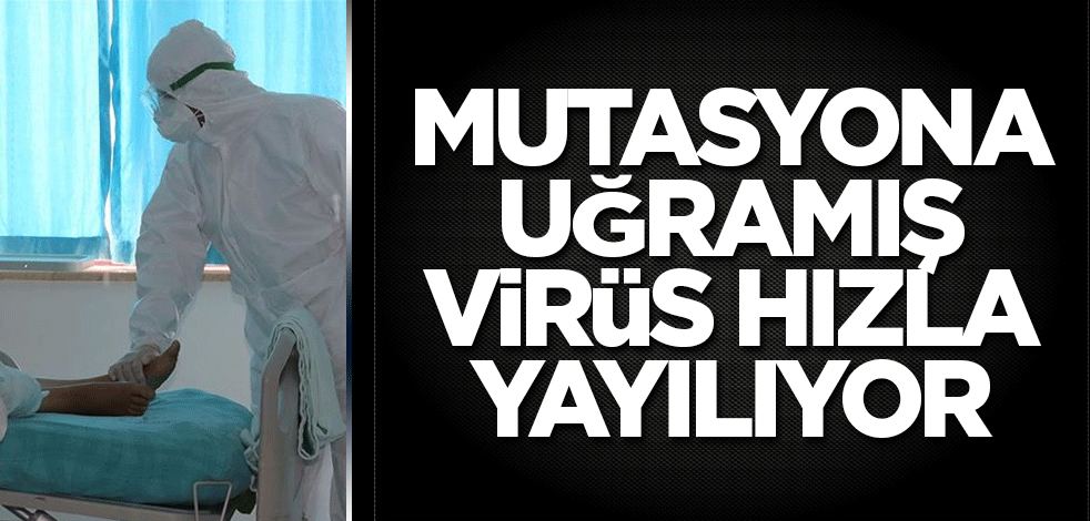 Mutasyona uğramış virüs hızla yayılıyor