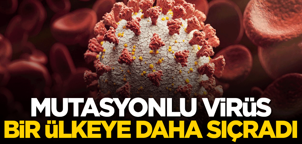 Mutasyonlu virüs bir ülkeye daha sıçradı