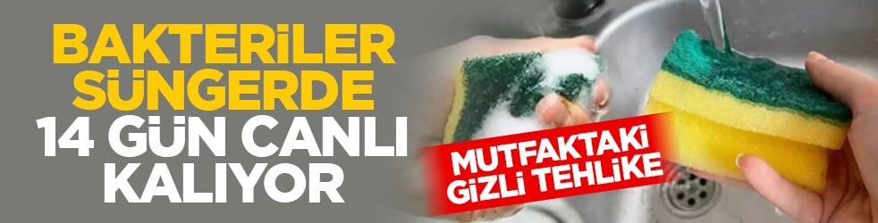 Mutfaktaki gizli tehlike: Bakteriler süngerde 14 gün canlı kalıyor