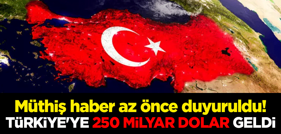 Müthiş haber az önce duyuruldu! Türkiye'ye 250 milyar dolar geldi