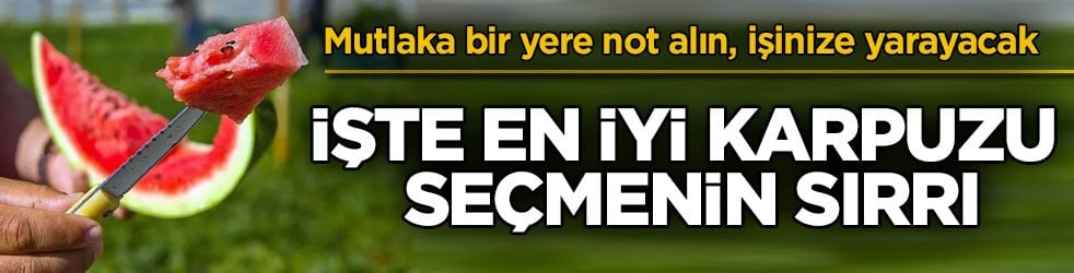 Mutlaka bir yere not alın, işinize yarayacak! İşte en iyi karpuzu seçmenin sırrı