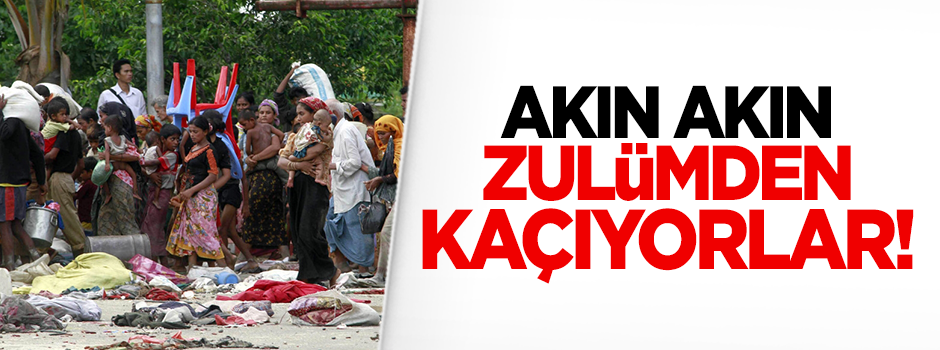 Myanmar'da Rohingyalar Arakan'dan kaçıyor!