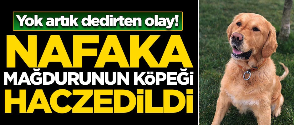 Nafaka mağdurunun köpeği haczedildi