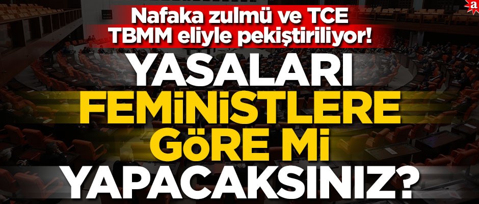 Nafaka zulmü ve TCE, TBMM eliyle pekiştiriliyor! Yasaları feministlere göre mi yapacaksınız?