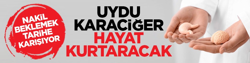 Nakil beklemek tarihe karışıyor: Uydu karaciğer hayat kurtaracak