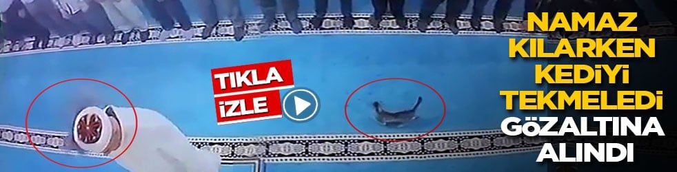 Namaz kılarken kediyi tekmeledi gözaltına alındı