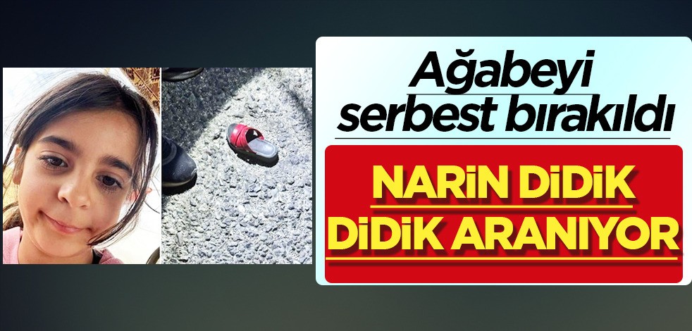 Narin Güran’ı arama çalışmaları sürüyor: Abisi serbest bırakıldı (Çalışmalar hakkında son durum)