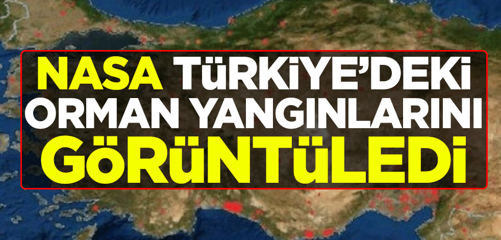 NASA, Türkiye'deki orman yangınlarını görüntüledi