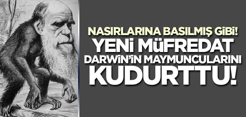 Nasırlarına basılmış gibi… Yeni müfredat Darwin'in maymuncularını kudurttu