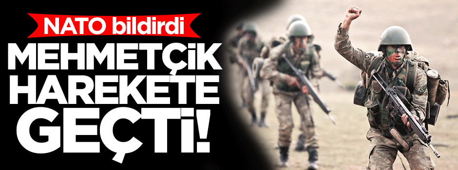 NATO göreve başladı